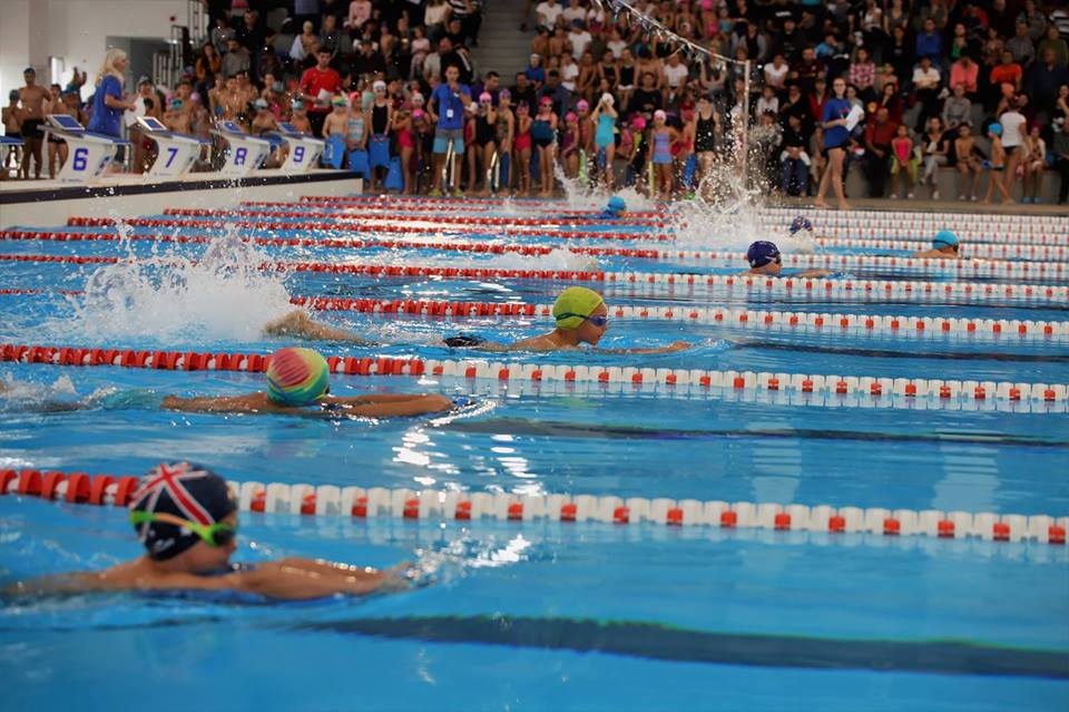 Bazinul Olimpic Târgoviște